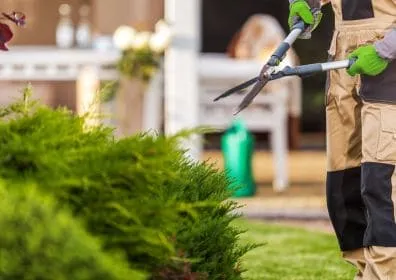 Outdoor Landscaping & Maintenance